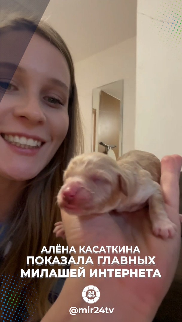 Алёна Касаткина показала главных милашей интернета Алёна Касаткина показала главных милашей интернета