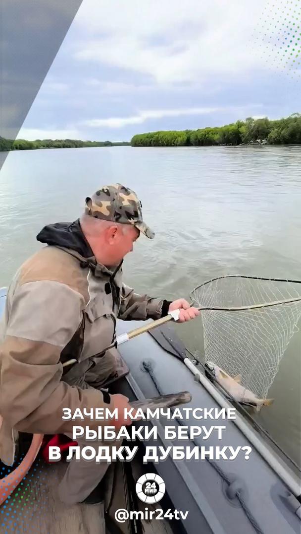 Зачем камчатские рыбаки берут в лодку дубинку? Зачем камчатские рыбаки берут в лодку дубинку?