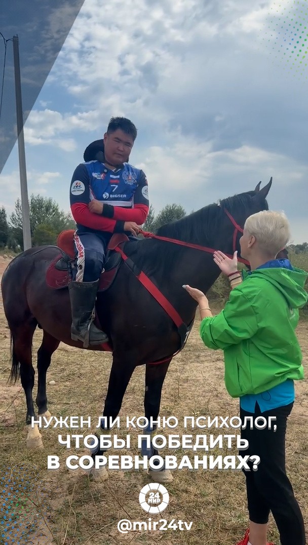 Нужен ли коню психолог, чтобы победить в соревнованиях? Нужен ли коню психолог, чтобы победить в соревнованиях?