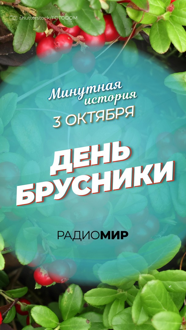 Минутная история - 3 октября. День брусники Минутная история - 3 октября. День брусники
