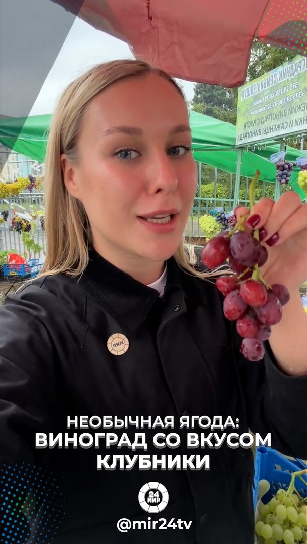 Необычная ягода: виноград со вкусом клубники Необычная ягода: виноград со вкусом клубники
