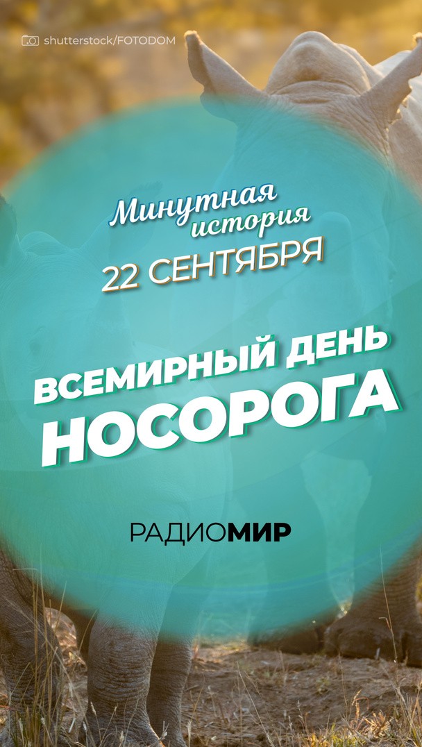 Всемирный день носорога Всемирный день носорога
