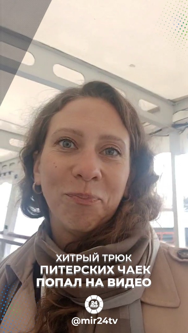 Хитрый трюк питерских чаек попал на видео Хитрый трюк питерских чаек попал на видео