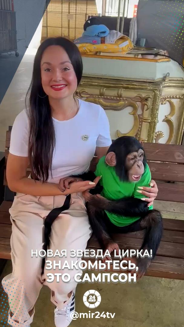 НОВАЯ ЗВЕЗДА ЦИРКА! Знакомьтесь, это Самсон НОВАЯ ЗВЕЗДА ЦИРКА! Знакомьтесь, это Самсон