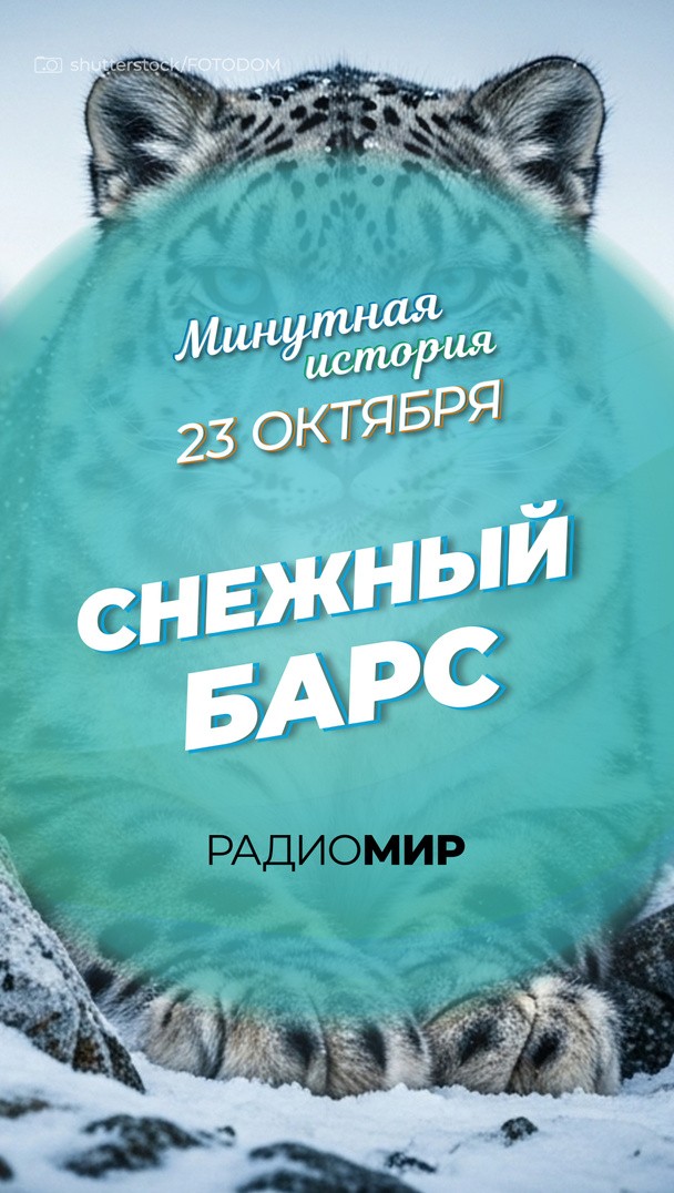 Минутная история. 23 октября Минутная история. 23 октября