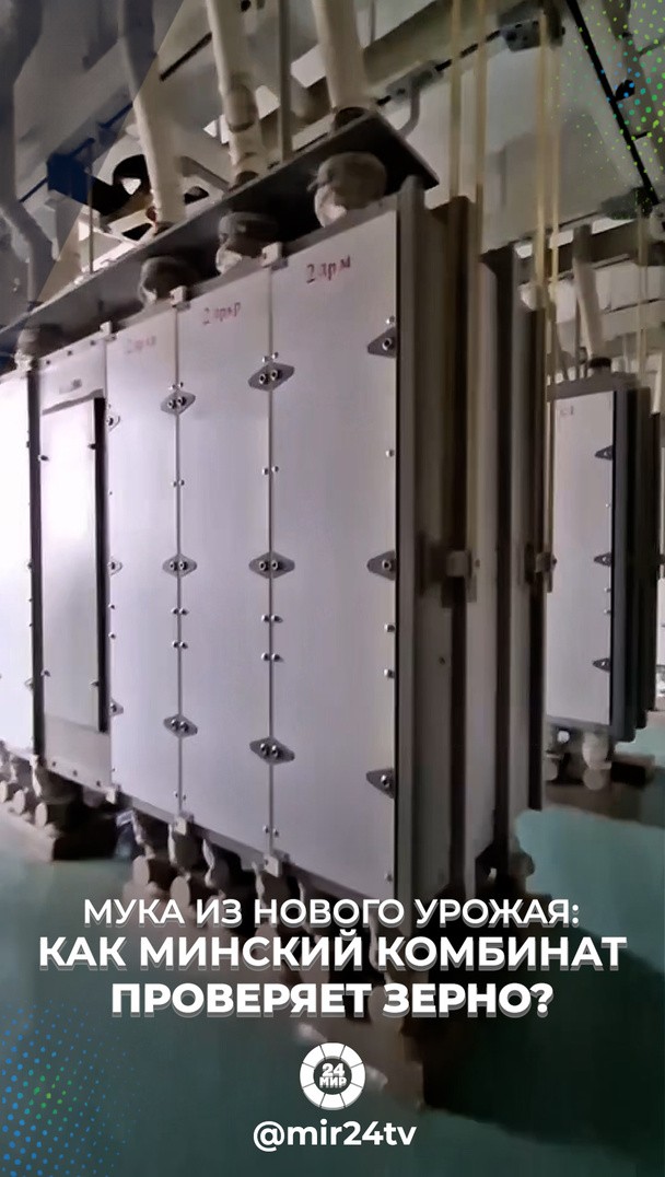 Мука из нового урожая: как Минский комбинат проверяет зерно? Мука из нового урожая: как Минский комбинат проверяет зерно?