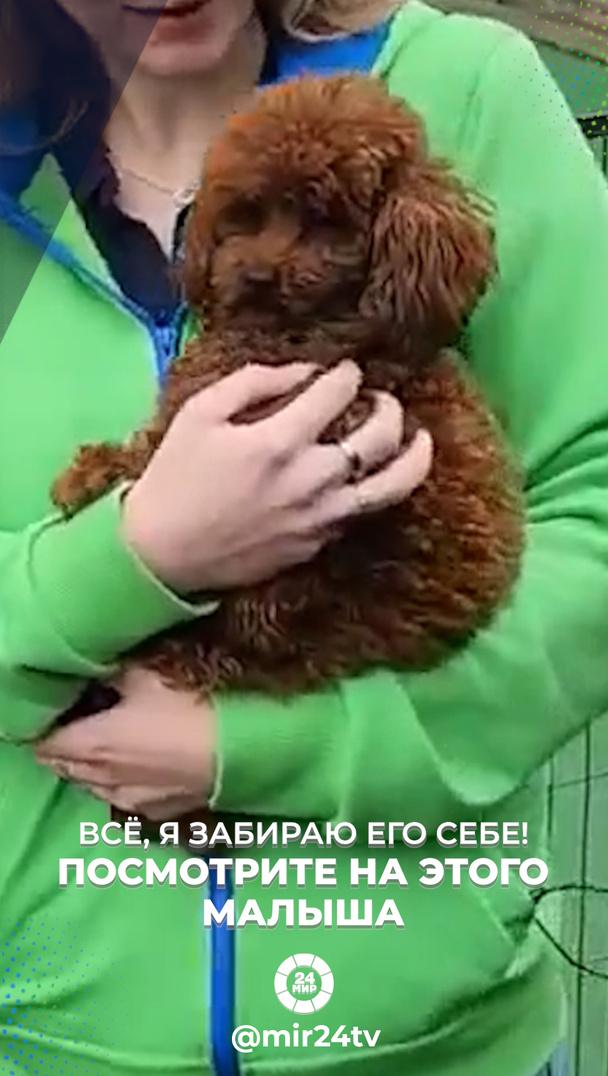 Всё, я забираю его себе! Посмотрите на этого малыша Всё, я забираю его себе! Посмотрите на этого малыша