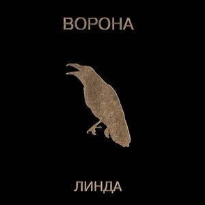 Никогда