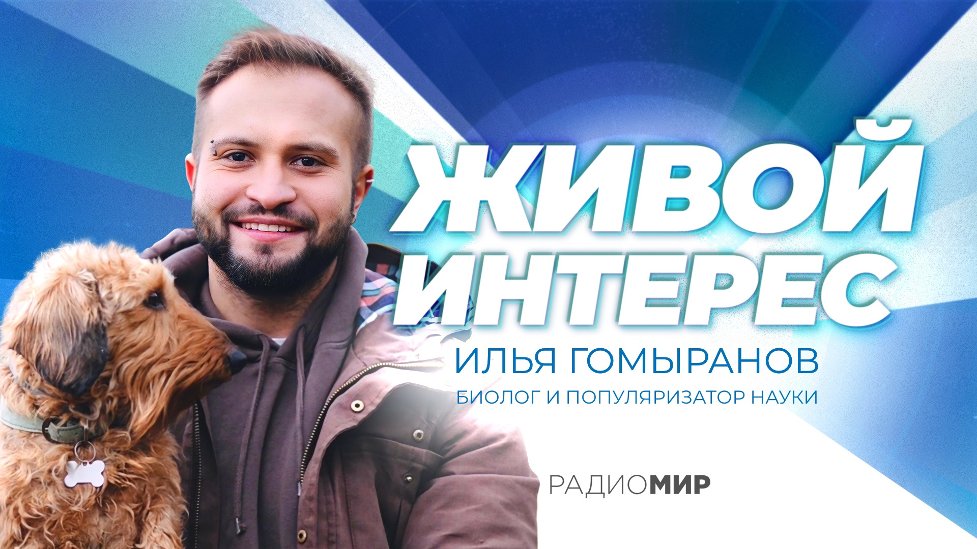Илья Гомыранов: «Собаки умеют манипулировать людьми»