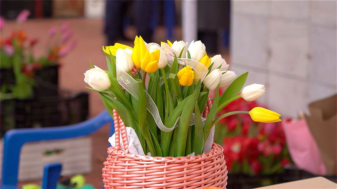 Фестиваль тюльпанов открылся в Бишкеке