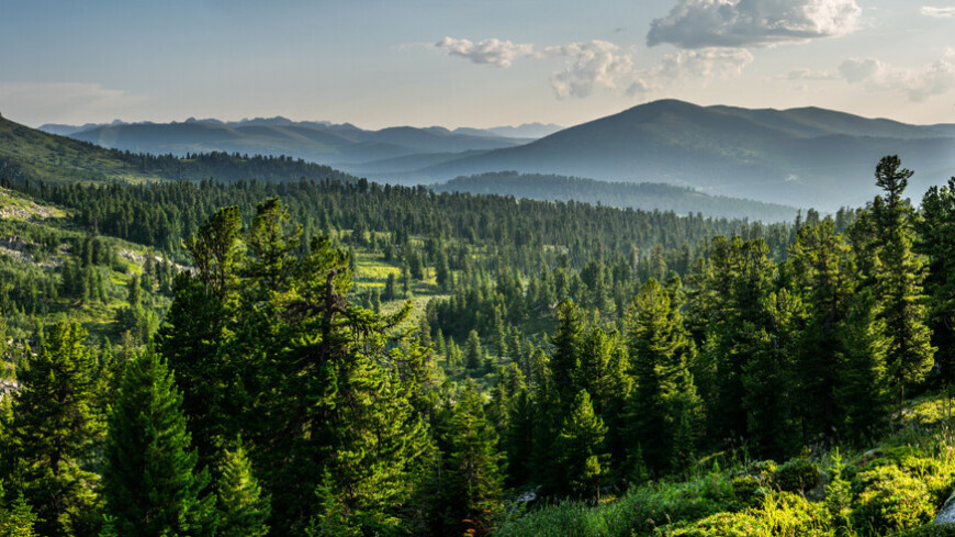 Хабаровский край вошёл в топ конкурса «Дальний Восток — земля приключений»