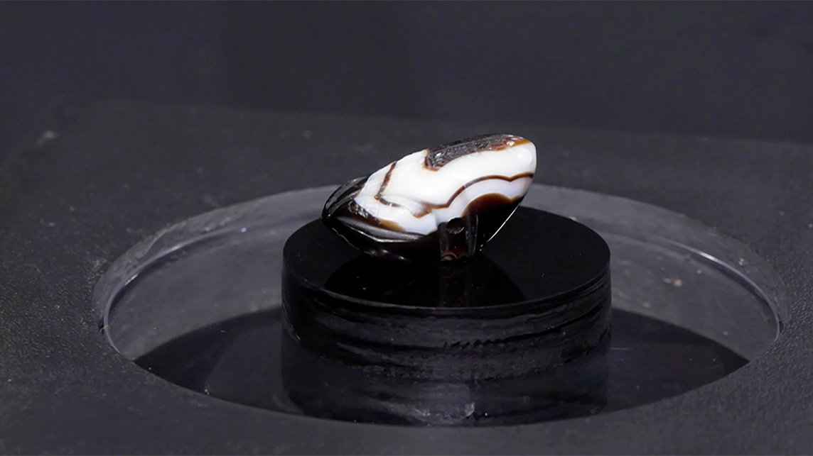 В Ереване открылась выставка древних украшений «Мецамор: золото, искусство и тайна»